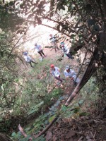 /album/fotogaleria/payande-27-jpg/